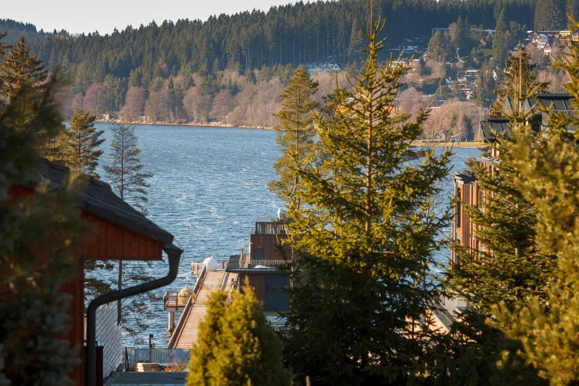 Vila Rozinka Lipno Lipno nad Vltavou Buitenkant foto