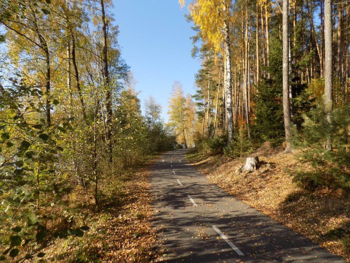 Vila Rozinka Lipno Lipno nad Vltavou Buitenkant foto