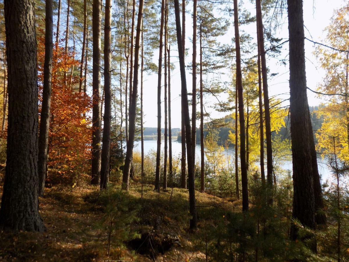 Vila Rozinka Lipno Lipno nad Vltavou Buitenkant foto